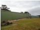 Lot 2, 717 Branch Lane, The Branch NSW 2425