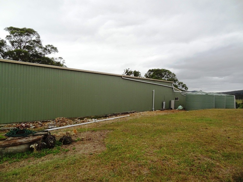 Lot 2, 717 Branch Lane, The Branch NSW 2425