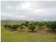 Lot 2, 717 Branch Lane, The Branch NSW 2425
