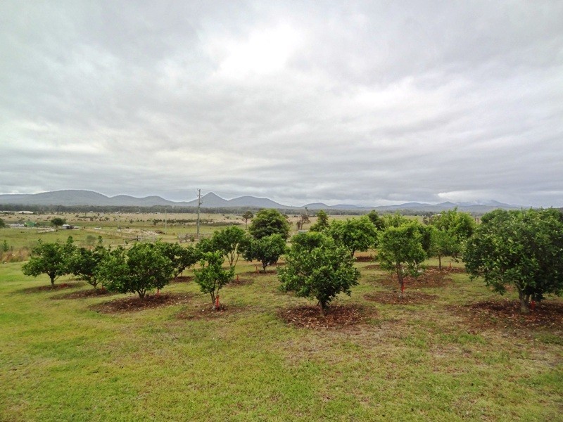 Lot 2, 717 Branch Lane, The Branch NSW 2425