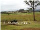 Lot 2, 717 Branch Lane, The Branch NSW 2425