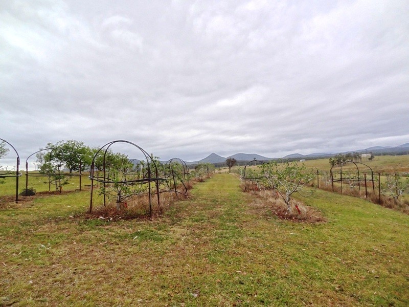 Lot 2, 717 Branch Lane, The Branch NSW 2425