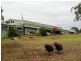 Lot 2, 717 Branch Lane, The Branch NSW 2425