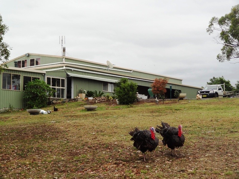 Lot 2, 717 Branch Lane, The Branch NSW 2425