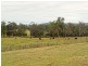Lot 2, 717 Branch Lane, The Branch NSW 2425