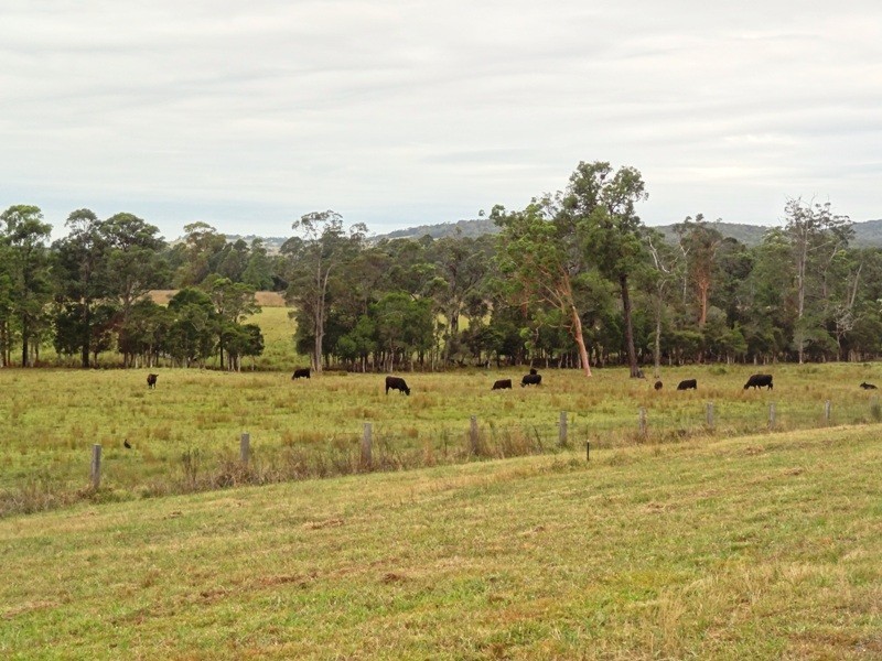 Lot 2, 717 Branch Lane, The Branch NSW 2425