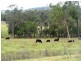 Lot 2, 717 Branch Lane, The Branch NSW 2425