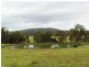 Lot 2, 717 Branch Lane, The Branch NSW 2425