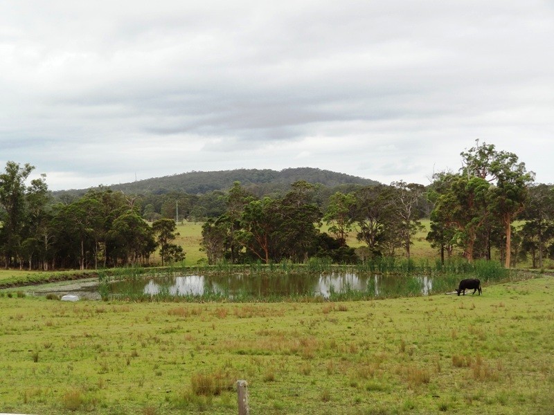 Lot 2, 717 Branch Lane, The Branch NSW 2425