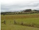 Lot 2, 717 Branch Lane, The Branch NSW 2425