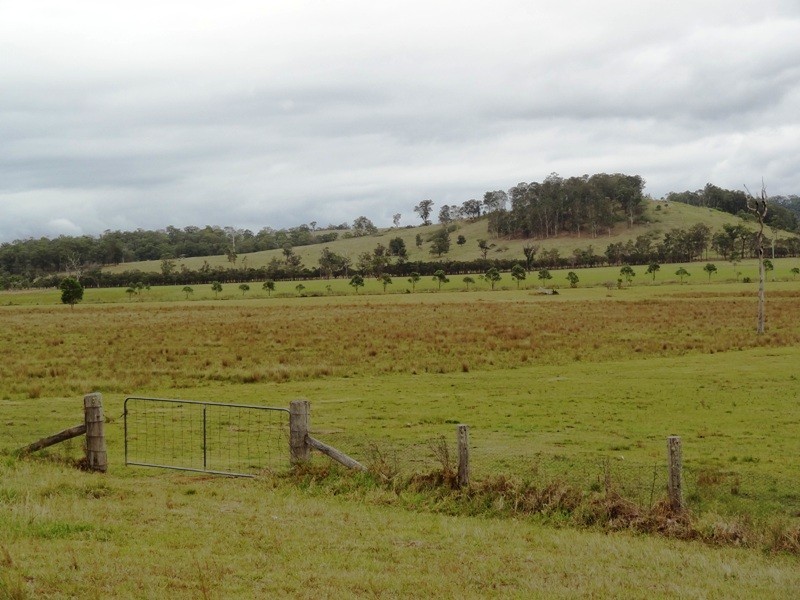 Lot 2, 717 Branch Lane, The Branch NSW 2425