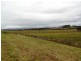 Lot 2, 717 Branch Lane, The Branch NSW 2425
