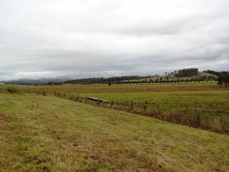 Lot 2, 717 Branch Lane, The Branch NSW 2425