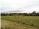 Lot 2, 717 Branch Lane, The Branch NSW 2425