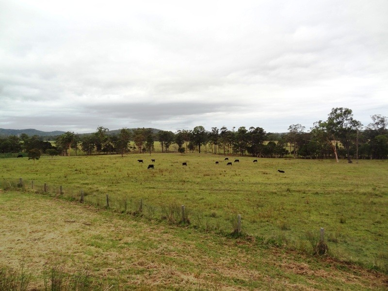 Lot 2, 717 Branch Lane, The Branch NSW 2425