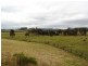 Lot 2, 717 Branch Lane, The Branch NSW 2425
