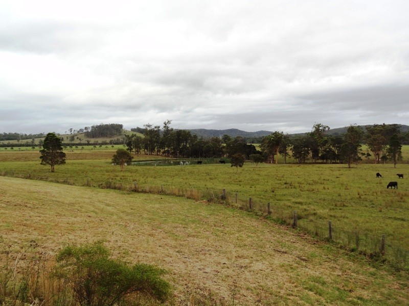 Lot 2, 717 Branch Lane, The Branch NSW 2425