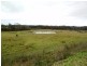 Lot 2, 717 Branch Lane, The Branch NSW 2425