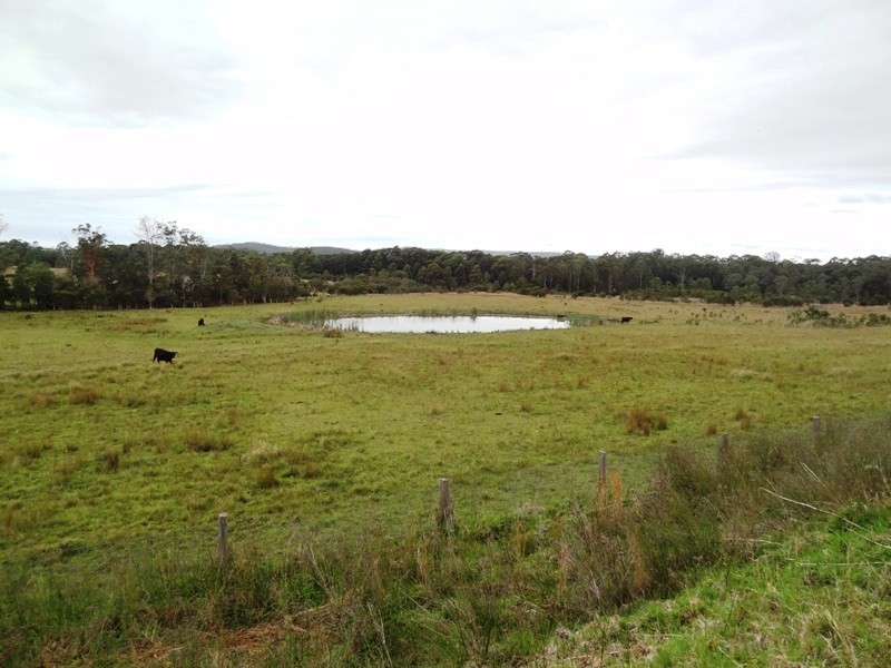 Lot 2, 717 Branch Lane, The Branch NSW 2425