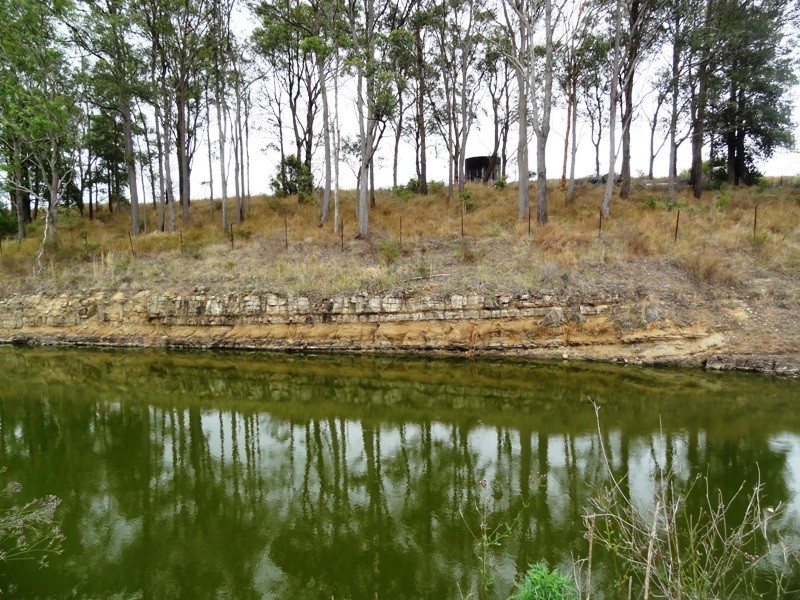 Lot 2, 717 Branch Lane, The Branch NSW 2425
