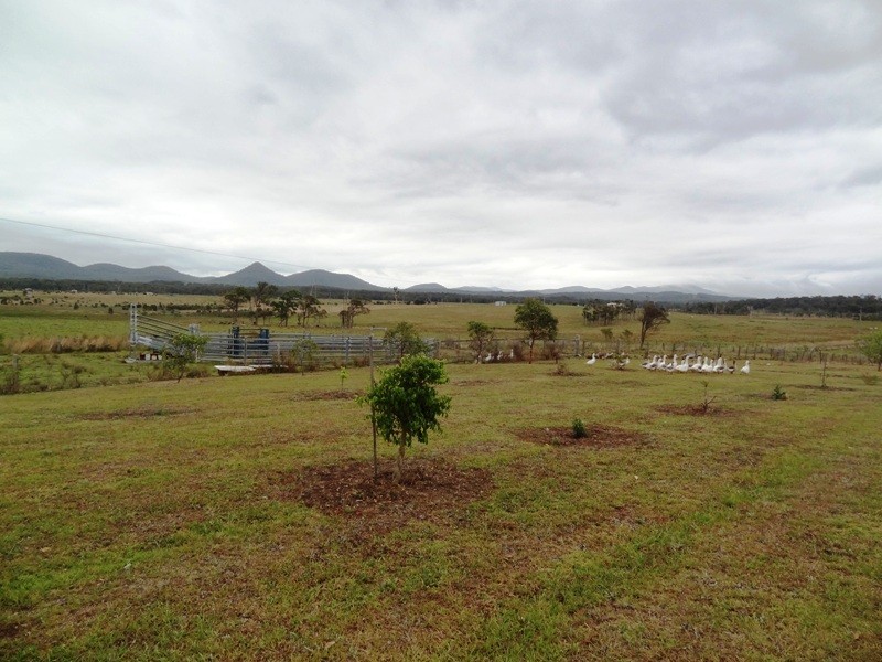 Lot 2, 717 Branch Lane, The Branch NSW 2425