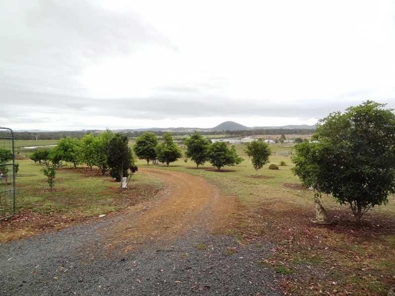 Lot 2, 717 Branch Lane, The Branch NSW 2425