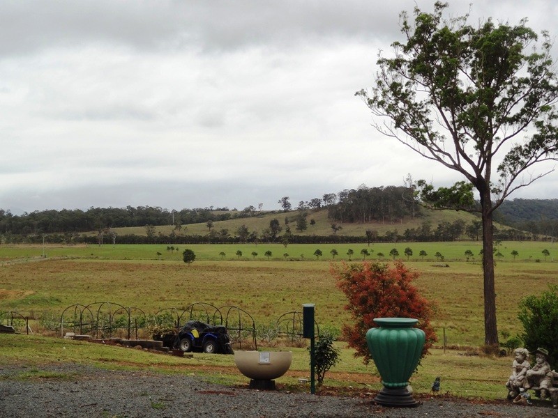 Lot 2, 717 Branch Lane, The Branch NSW 2425