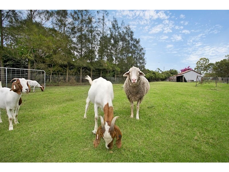 1 Woodberry Road, Millers Forest NSW 2324