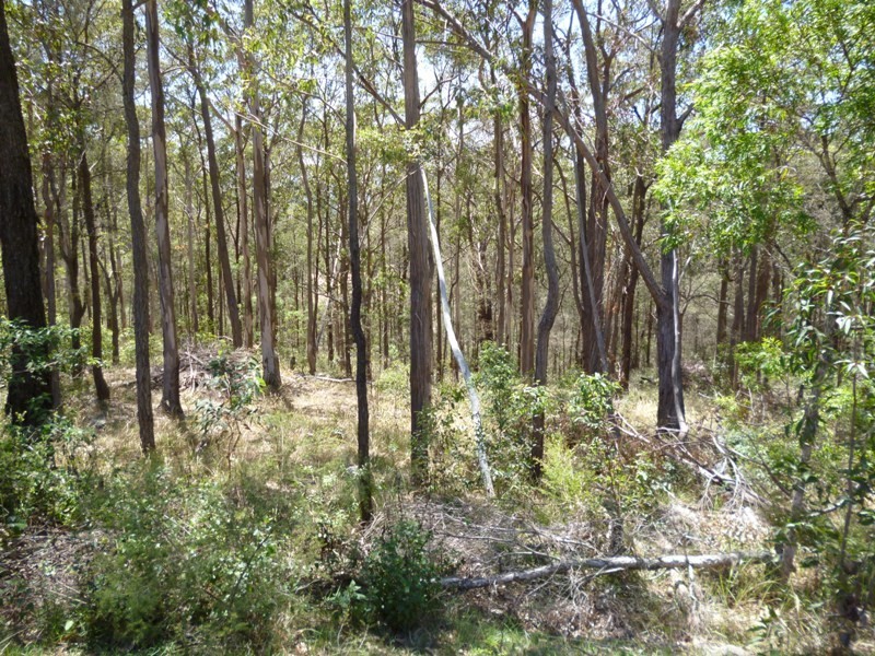 3 Uffington Road, Duns Creek NSW 2321