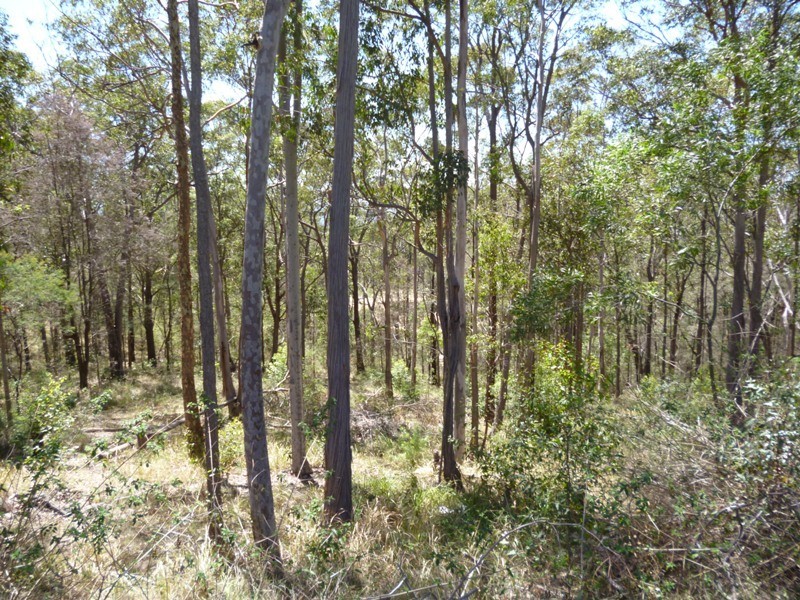 3 Uffington Road, Duns Creek NSW 2321