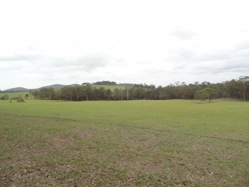 1232 The Branch Lane, The Branch NSW 2425