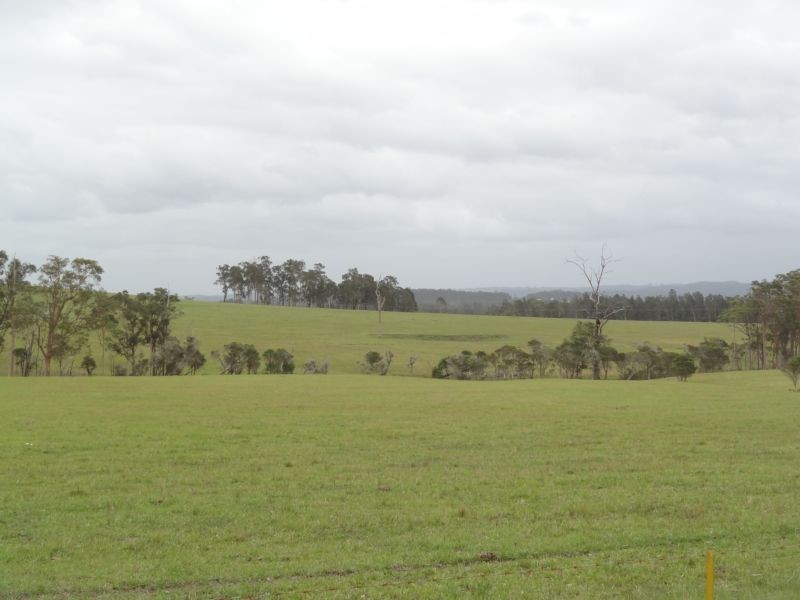 1232 The Branch Lane, The Branch NSW 2425