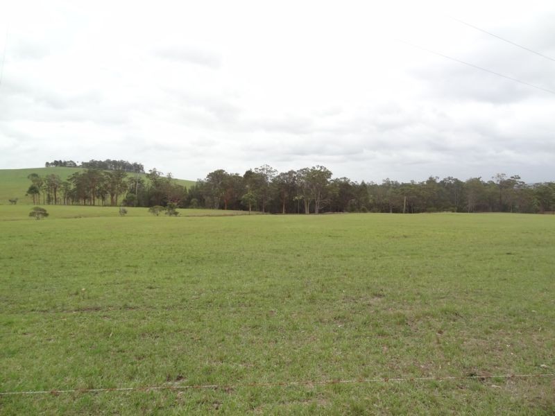 1232 The Branch Lane, The Branch NSW 2425