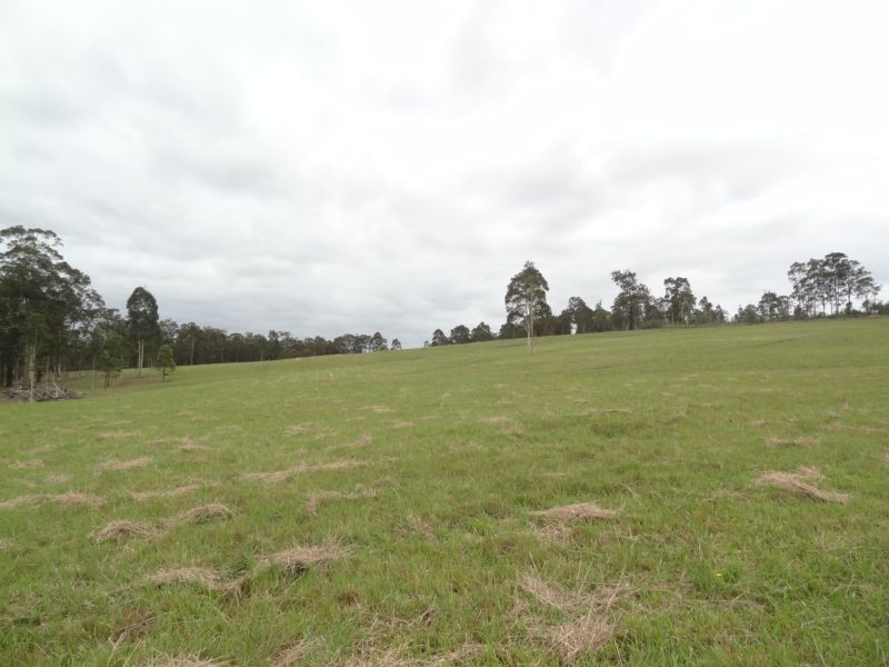 1232 The Branch Lane, The Branch NSW 2425