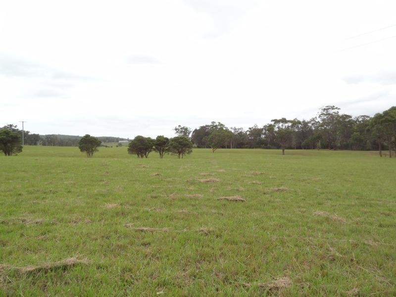 1232 The Branch Lane, The Branch NSW 2425