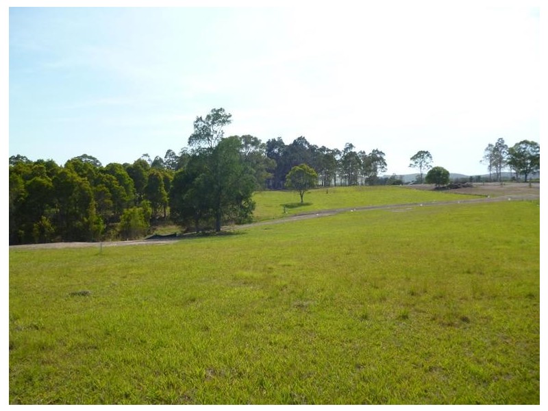 Lot 7, 1286 Limeburners Creek Road, Clarence Town NSW 2321