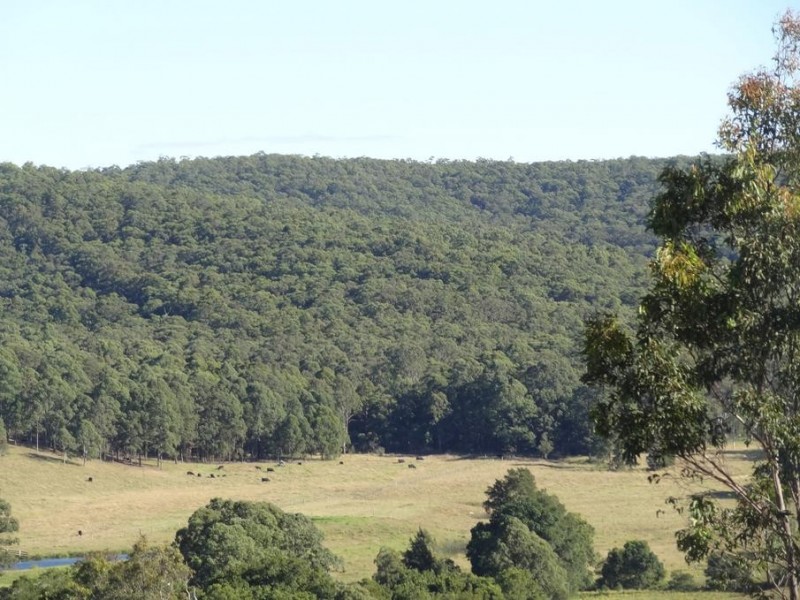 Lot 103,  Limeburners Creek Road, Clarence Town NSW 2321