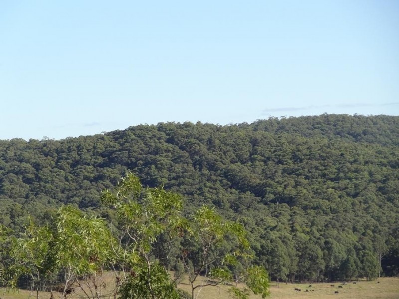Lot 103,  Limeburners Creek Road, Clarence Town NSW 2321