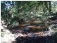 Lot 103,  Limeburners Creek Road, Clarence Town NSW 2321