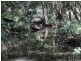 Lot 103,  Limeburners Creek Road, Clarence Town NSW 2321