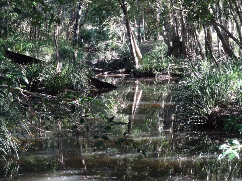 Lot 103,  Limeburners Creek Road, Clarence Town NSW 2321