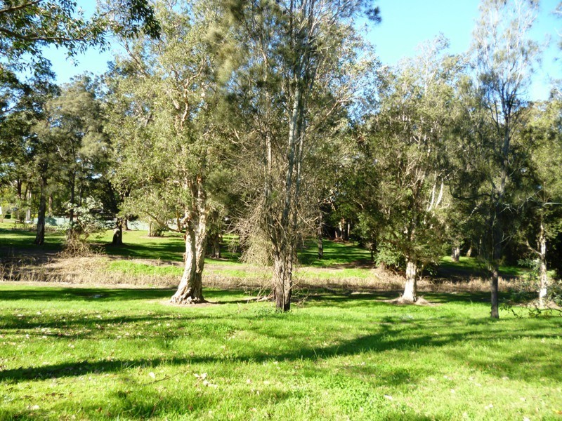62 Links Drive, Raymond Terrace NSW 2324