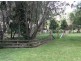 36 Brandy Hill Drive, Brandy Hill NSW 2324