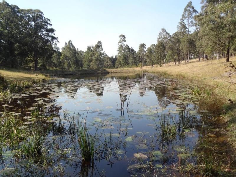 Lot 1 Hart Street, Clarence Town NSW 2321