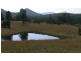 486 Warraba Road, The Branch NSW 2425