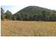 486 Warraba Road, The Branch NSW 2425