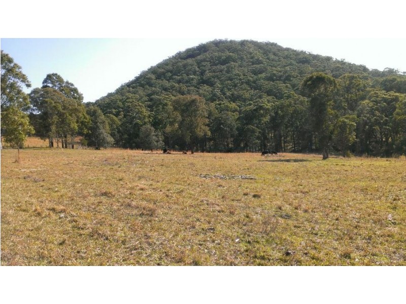 486 Warraba Road, The Branch NSW 2425