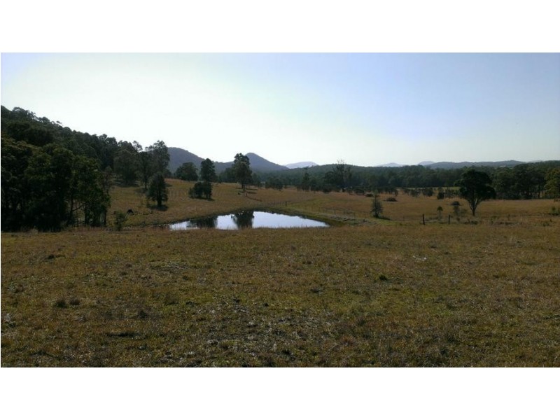 486 Warraba Road, The Branch NSW 2425
