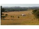 486 Warraba Road, The Branch NSW 2425