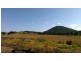 486 Warraba Road, The Branch NSW 2425